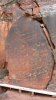 PICTURES/V-Bar-V Heritage Site/t_Petroglyphs17.JPG
